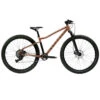 Rascal Wild 29 - 29" Jongere Mountainbike - 2023 - Brass 1 Rascal Wild 29 - 29" Jongere Mountainbike - 2023 - Brass -Fietswereld Winkels 224 1489787