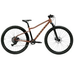 Rascal Wild 29 - 29" Jongere Mountainbike - 2023 - Brass