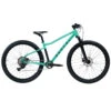 Rascal Wild 27 - 27.5" Jongere Mountainbike - 2023 - Teal