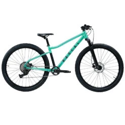 Rascal Wild 29 - 29" Jongere Mountainbike - 2023 - Teal