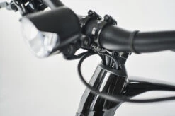 Diamant 365 Men Electric City Bike - 2023 - Deep Black 10 Diamant 365 Men Electric City Bike - 2023 - Deep Black -Fietswereld Winkels 365hch alt3 1325844