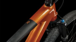 CUBE REACTION C:62 Race - 29" Carbon Mountainbike - 2023 - Fireorange / Black -Fietswereld Winkels 616310 d0031 1417693