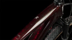 CUBE ELITE C:68X Race - 29" Carbon Mountainbike - 2023 - Liquidred / Carbon 14 CUBE ELITE C:68X Race - 29" Carbon Mountainbike - 2023 - Liquidred / Carbon -Fietswereld Winkels 617100 d 001841 1398824