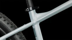 CUBE ACCESS WS - Women Mountainbike - 2023 - Airygreen / Mint -Fietswereld Winkels 625110 d 035161 1398187