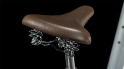 CUBE ELLA CRUISE - Easy Entry City-Bike - 2023 - Metallicstone / Grey -Fietswereld Winkels 649200 d 1125811 1398870