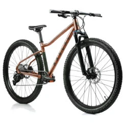 Rascal Wild 29 - 29" Jongere Mountainbike - 2023 - Brass -Fietswereld Winkels 680 1489788