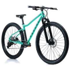 Rascal Wild 29 - 29" Jongere Mountainbike - 2023 - Teal -Fietswereld Winkels 705 1489793
