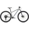 Specialized ROCKHOPPER EXPERT - 29" Mountainbike - 2023 - Satin Silver Dust / Black Holographic