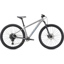 Specialized ROCKHOPPER EXPERT - 29" Mountainbike - 2023 - Satin Silver Dust / Black Holographic