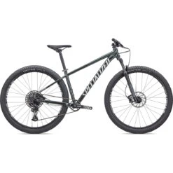 Specialized ROCKHOPPER EXPERT - 29" Mountainbike - 2023 - Gloss Oak Green Metallic / Metallic White Silver