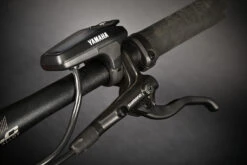 Haibike ALLTRACK 6 I720Wh - 29" E-Mountainbike - 2023 - Papaya/titan - Gloss 20 Haibike ALLTRACK 6 I720Wh - 29" E-Mountainbike - 2023 - Papaya/titan - Gloss -Fietswereld Winkels alltrack 6 290 papaya titan 7 1431173