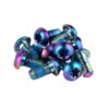 SRAM Rotor Bolt Set - 12pcs. - Titanium - Rainbow -Fietswereld Winkels amrotorboltkittit25rboqty12 839011