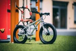 Early Rider Belter - 16" Kinderfiets 16 - 2023 -Fietswereld Winkels belter 16 4 1491716