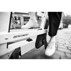 Bergamont E-CARGOVILLE LJ EXPERT - Cargo E-Bike - 2022 - Bamboe -Fietswereld Winkels bergamont e cargoville lj 01 1106469 1