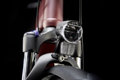 Kalkhoff IMAGE 3.B EXCITE Wave - Lage Instap E-bike Met Riemaandrijving - 2023 - Mahagonyred 11 Kalkhoff IMAGE 3.B EXCITE Wave - Lage Instap E-bike Met Riemaandrijving - 2023 - Mahagonyred -Fietswereld Winkels d641527456 kalkhoff image 3 1203676 bsp 02 1425673