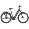 Kalkhoff IMAGE 5.B ADVANCE+ - Easy Entry E-Bike With Belt Drive - 2022 - Crystalgrey Matt -Fietswereld Winkels d644527127 kalkhoff image 5 1200558