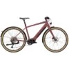 Kona DEW-E DL - Heren City E-Bike - 2022 - Gloss Metallic Mauv -Fietswereld Winkels dew e dl mauve 1017647