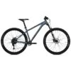 Ns-bikes NS Bikes ECCENTRIC Lite 2 - 29" Mountainbike - 2021 - Sharkskin -Fietswereld Winkels eccentric lite 2 sharkskin 970352
