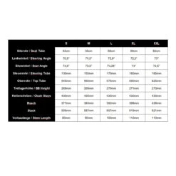 Falkenjagd ARISTOS R Gravel - Shimano GRX Di2 - Titan Gravel Bike - 2023 -Fietswereld Winkels falkenjagd aristos r gravel geo 1340554 1470181