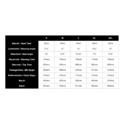 Falkenjagd ARISTOS R SPEEDGRAVEL GET FAST - Titanium Bike - 2023 -Fietswereld Winkels falkenjagd aristos r speedgravel geo 1325858