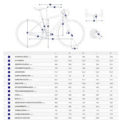 Giant FASTROAD ADVANCED 2 - Shimano Tiagra Carbon Fitness Bike - 2022 - Cold Iron 5 Giant FASTROAD ADVANCED 2 - Shimano Tiagra Carbon Fitness Bike - 2022 - Cold Iron -Fietswereld Winkels geo 1185702