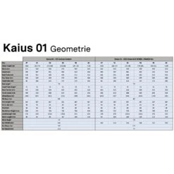 BMC KAIUS 01 TWO - Carbon Gravel Bike - 2023 - Turquoise & Black -Fietswereld Winkels geo kaius 01 1315306