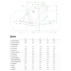 Cannondale QUICK 2 DISC - Fitnessbike - 2021 - Crush -Fietswereld Winkels geo quick 989994