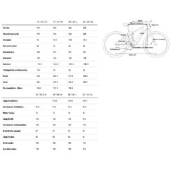 CUBE STEREO HYBRID 140 HPC Actionteam 750 - Carbon E-Mountainbike - 2023 - Actionteam 12 CUBE STEREO HYBRID 140 HPC Actionteam 750 - Carbon E-Mountainbike - 2023 - Actionteam -Fietswereld Winkels geo stereo hybrid 140 hpc actionteam 1419701