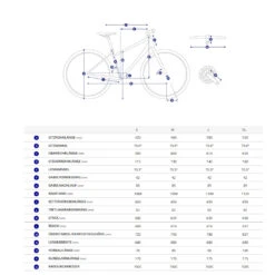 Giant ROAM 2 - Cross Bike - 2022 - Black 8 Giant ROAM 2 - Cross Bike - 2022 - Black -Fietswereld Winkels giant roam geo 1379983