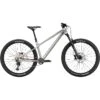 Cannondale HABIT HT 1 - 29" Mountainbike - 2023 - Mercury 1 Cannondale HABIT HT 1 - 29" Mountainbike - 2023 - Mercury -Fietswereld Winkels habit ht 1 mercury 1 1491823