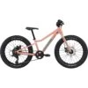 Cannondale KIDS TRAIL PLUS - 20" Kids Bike - 2022 - Salmon -Fietswereld Winkels kids trail plus 20 salmon 1 1256183