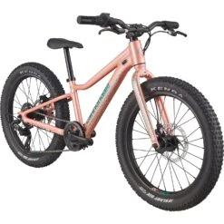 Cannondale KIDS TRAIL PLUS - 20" Kids Bike - 2022 - Salmon 7 Cannondale KIDS TRAIL PLUS - 20" Kids Bike - 2022 - Salmon -Fietswereld Winkels kids trail plus 20 salmon 2 1256184