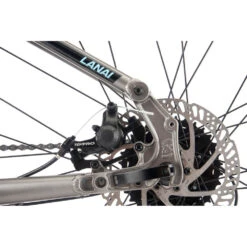Kona LANA'I - Mountain Bike - 2023 - Satin Faux Raw -Fietswereld Winkels kona lanai detail 09 1337414 1