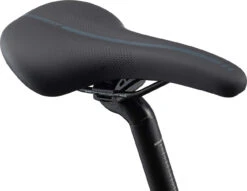 Giant ESCAPE 2 City Trekking Bike - 2022 - Charcoal -Fietswereld Winkels my21 escape 2 city disc color a charcoal d 6 1101918