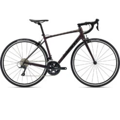 Giant CONTEND 1 - Shimano Sora Road Bike - 2023 - Rosewood