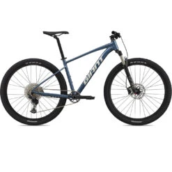 Giant TALON 0 29" Mountainbike - 2022 - Blue Ashes