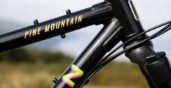 Marin PINE MOUNTAIN 2 - 29" Stalen Mountainbike - 2023 - Black -Fietswereld Winkels pine mountain 2 black 4 1435868