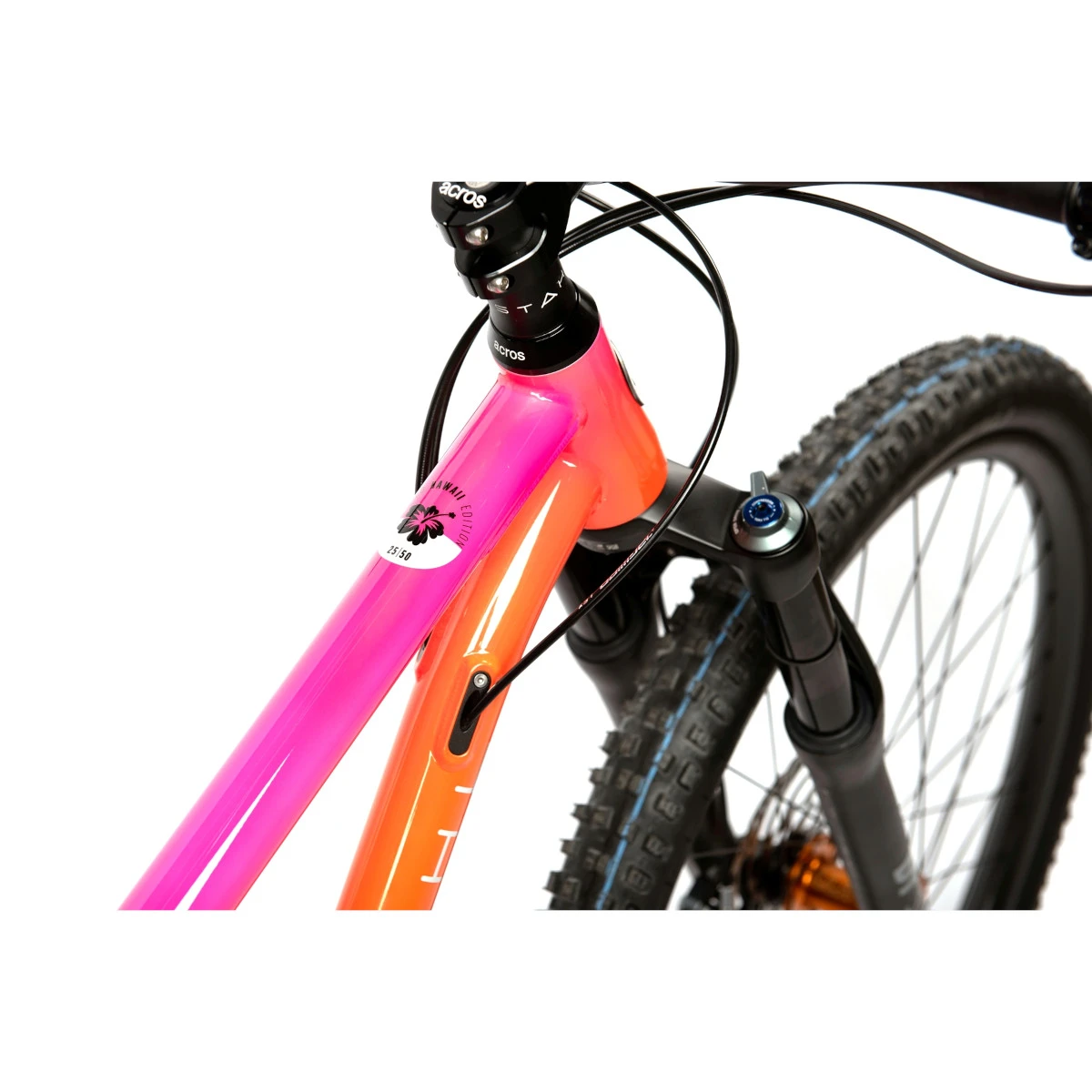 Rennstahl 853 Trail GET FAST - 29" Mountainbike - 2023 - Limited Hawaii Edition 6 Rennstahl 853 Trail GET FAST - 29" Mountainbike - 2023 - Limited Hawaii Edition - Afbeelding 4