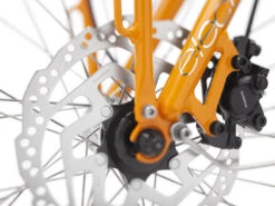 Electra Townie Commute Go! 5i EQ Step-Thru Electric City Bike - 500Wh - Tangerine 17 Electra Townie Commute Go! 5i EQ Step-Thru Electric City Bike - 500Wh - Tangerine -Fietswereld Winkels towniecommutego5istepthru alt4 1183722