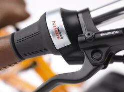 Electra Townie Commute Go! 5i EQ Step-Thru Electric City Bike - 500Wh - Tangerine 25 Electra Townie Commute Go! 5i EQ Step-Thru Electric City Bike - 500Wh - Tangerine -Fietswereld Winkels towniecommutego5istepthru alt7 1183725