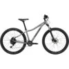 Cannondale TRAIL 5 - Dames Mountainbike - 2023 - Lavender -Fietswereld Winkels trail 5 women lavender 918048