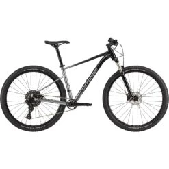 Cannondale TRAIL SL 4 - 29" Mountainbike - 2023 - Grey