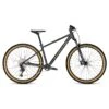 FOCUS WHISTLER 3.9 - Mountainbike - 2023 - Diamond Black